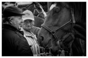 Foire De Lessay