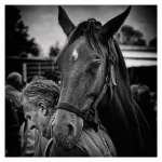 Foire De Lessay