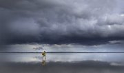 Le guide - Veronique Levaufre