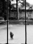 Rayures - Nathalie BERNARD