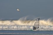 img_9174 copie
